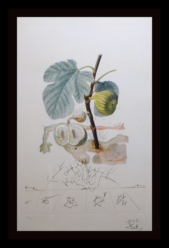 Salvador Dalí, ‘FlorDali/Les Fruits Fig’, 1969, Print, Etching, Fine Art Acquisitions Dali 