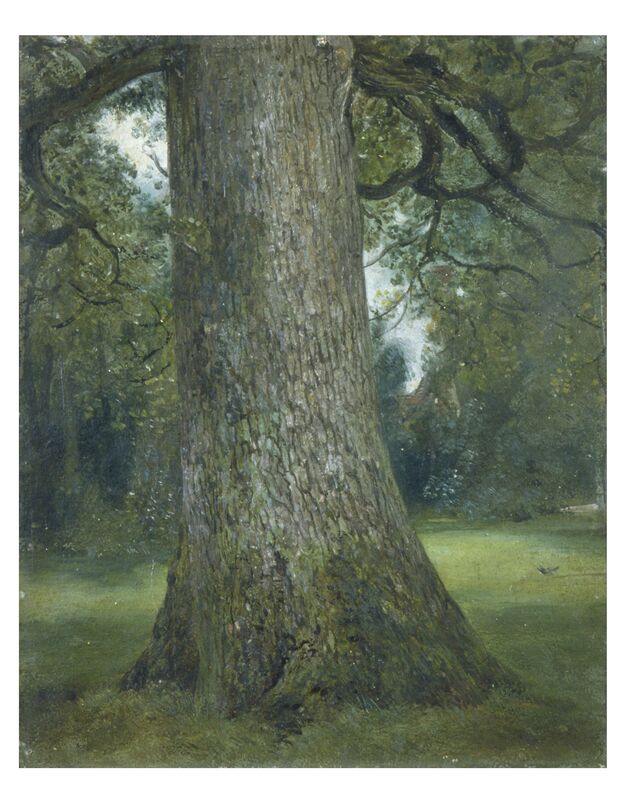 John Constable, ‘Study of the Truck of an Elm Tree’, ca. 1824, Painting, Oil on paper, Victoria and Albert Museum (V&A)