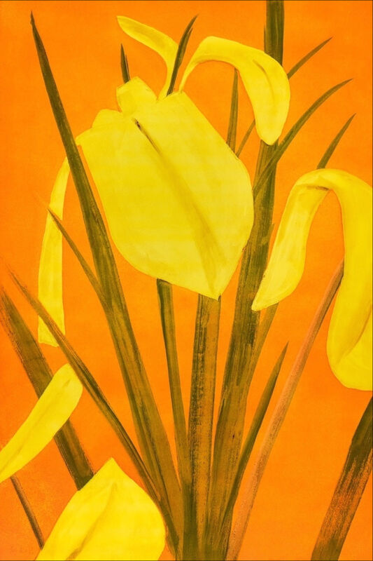 Alex Katz, ‘Yellow Flags 4’, 2020, Print, Photo etching, photo-gravure, and aquatint in five colors on Somerset Satin White 500 gsm fine art paper, Haw Contemporary