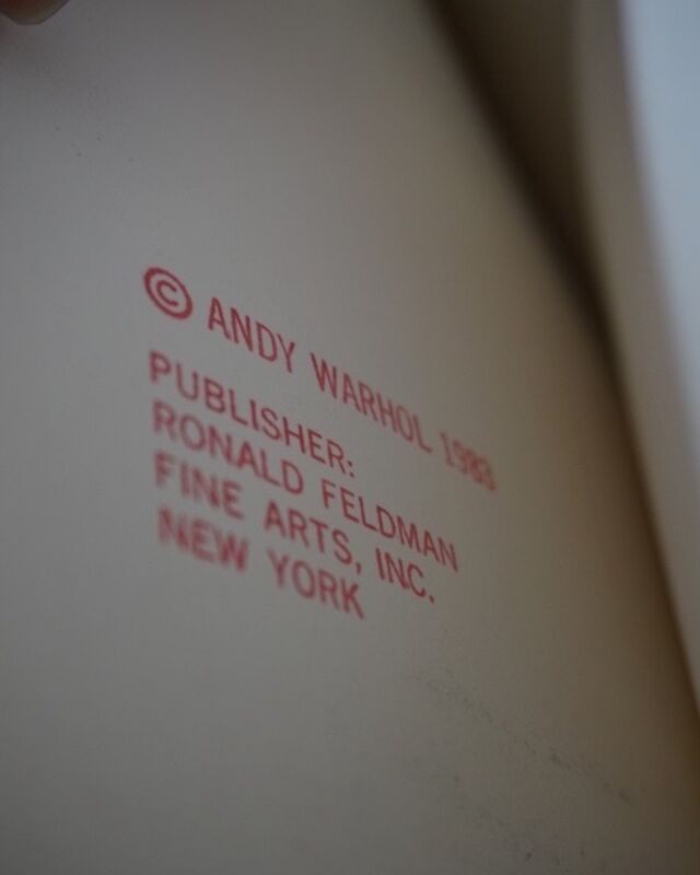 Andy Warhol, ‘San Francisco Silverspot, Endangered Species F&S II.298’, 1983, Print, Screenprint on Lenox Museum Board, Fine Art Mia
