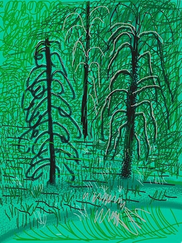 David Hockney, ‘Untitled No. 16 : The Yosemite Suite’, 2010, Print, IPad drawing in colors, printed on wove paper, Upsilon Gallery