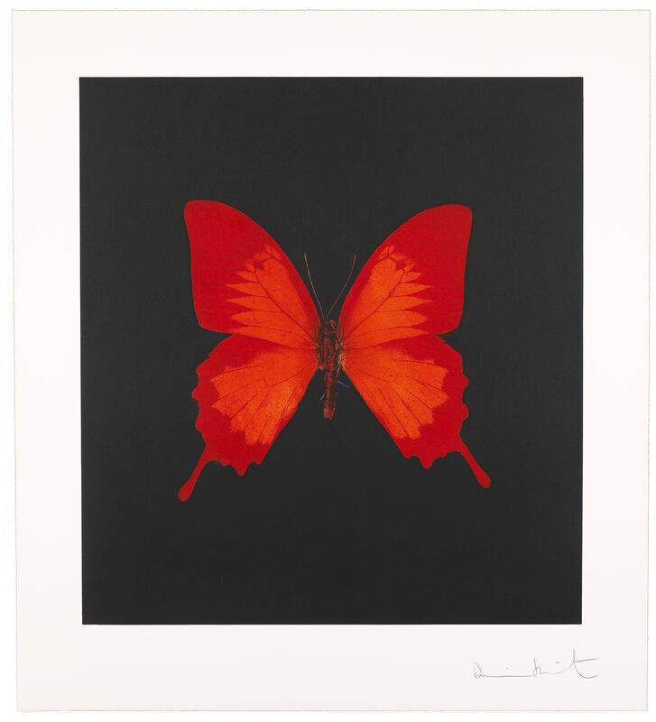 Damien Hirst, ‘The Souls on Jacob's Ladder Take Their Flight’, 2007, Print, Hand-inked photogravure on 400 gsm, Gallery Red