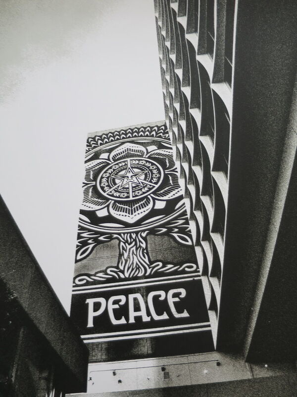 Shepard Fairey, ‘Cover to Overt Peace Tree Silver’, 2015, Print, Paper, Gallery 55 TLV