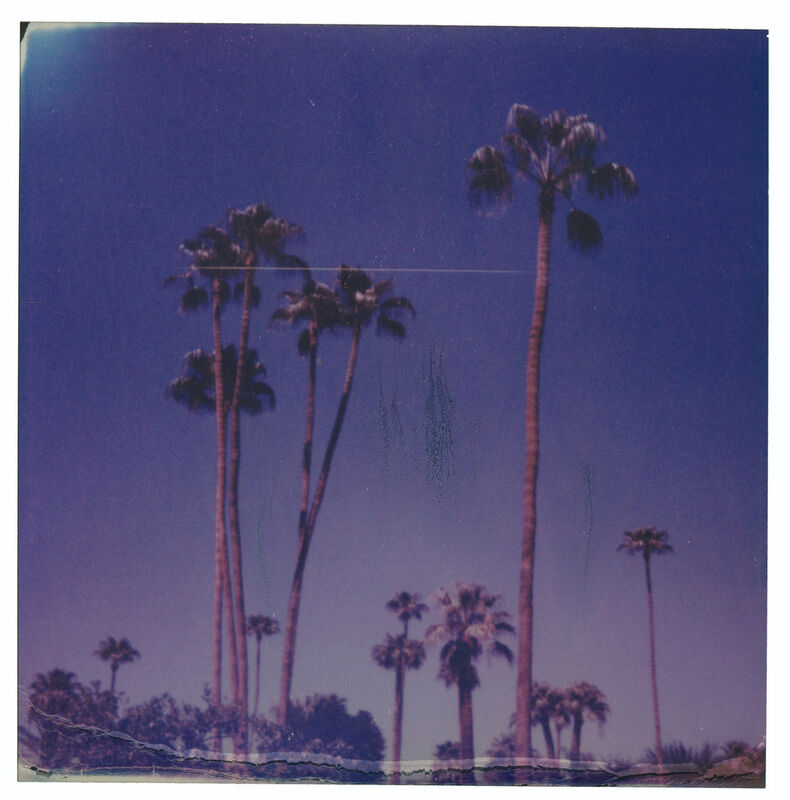 Stefanie Schneider, ‘Palm Springs Palm Trees XII (Californication)’, 2019, Photography, Digital C-Print, based on a Polaroid, Instantdreams