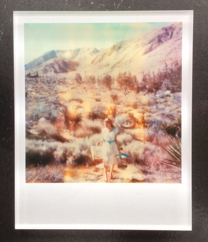 Stefanie Schneider, ‘Runaway (Haley and the Birds)’, 2013, Photography, Lambda digital Color Photographs based on a Polaroid, sandwiched in between Plexiglass, Instantdreams