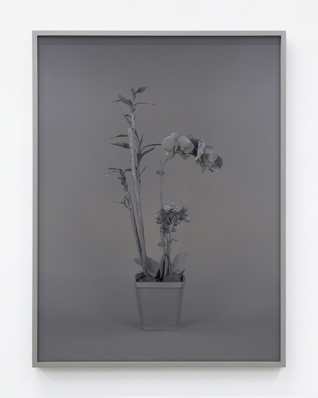 Stephanie Syjuco, ‘Neutral Orchids (Phalaenopis + Dracaena sanderana 2)’, 2016, Print, Pigment inkjet, Contemporary Art Museum St. Louis Benefit Auction