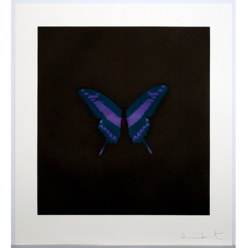 Damien Hirst, ‘Purple Butterfly (Memento)’, 2008, Print, Etching, Weng Contemporary