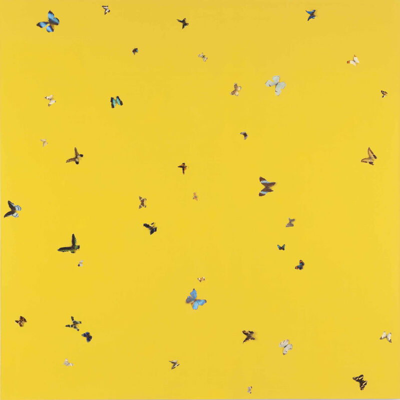Damien Hirst, ‘Do You Know What I Like About You?’, 1994, Painting, Butterflies and household gloss on canvas, Gallery Red