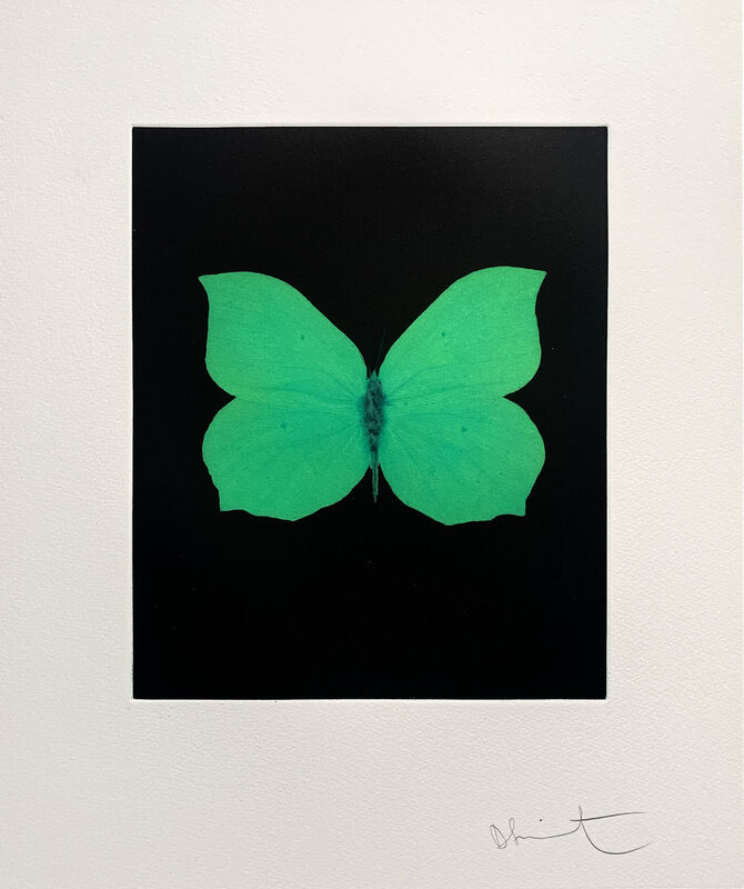 Damien Hirst, ‘Tribulation’, 2009, Print, Etching, Oliver Clatworthy Gallery Auction