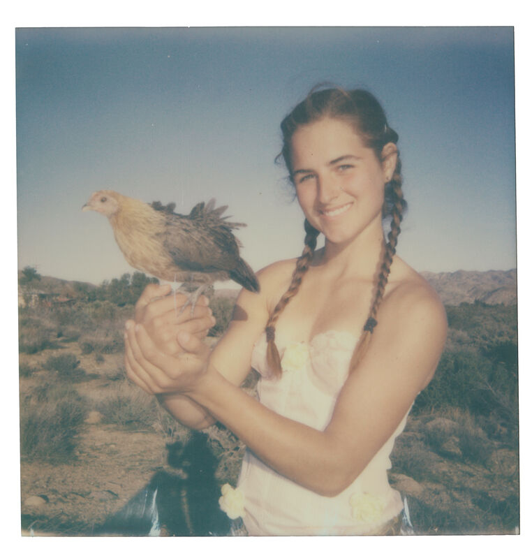 Stefanie Schneider, ‘If I could Fly (Chicks and Chicks and sometimes Cocks)’, 2017, Photography, Digital C-Print, based on a Polaroid, Instantdreams