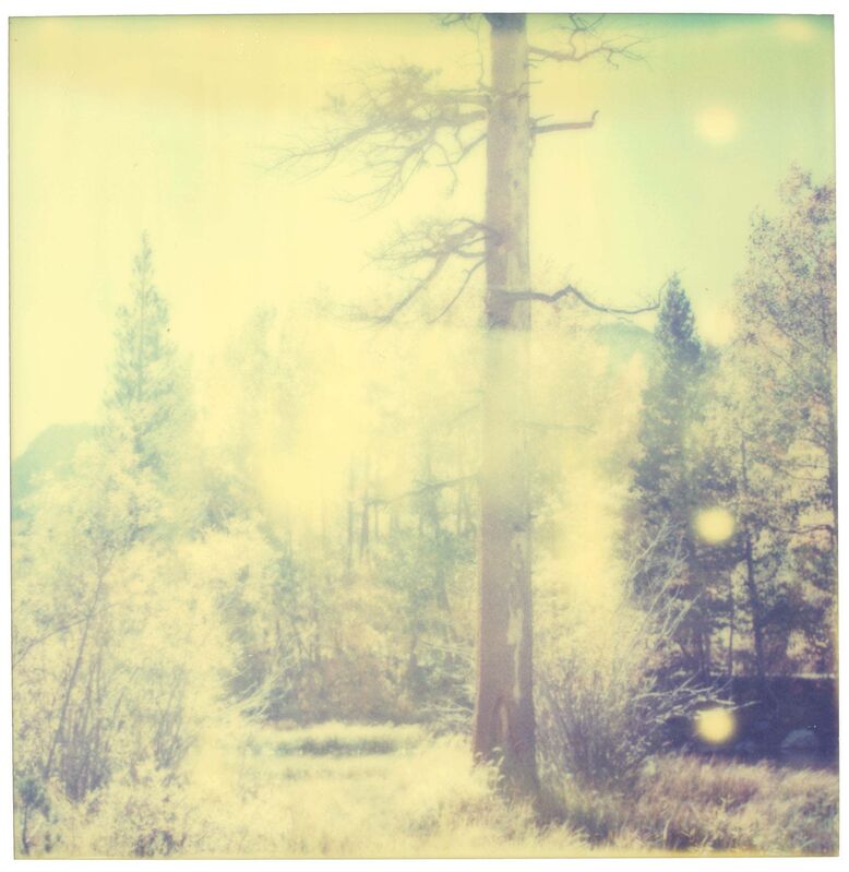 Stefanie Schneider, ‘In the Range of Light (Wastelands) ’, 2003, Photography, 6 Analog C-Prints, hand-printed by the artist on Fuji Crystal Archive Paper, based on 6 SX-70 Polaroids. Not mounted., Instantdreams