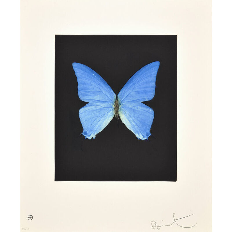 Damien Hirst, ‘Providence’, 2009, Print, Etching, Weng Contemporary