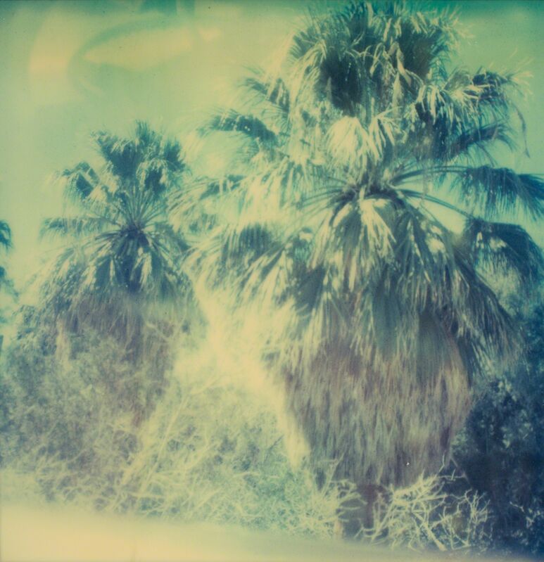 Stefanie Schneider, ‘Blue Sky Palm Trees’, 2005, Photography, Analog C-Print, hand-printed by the artist on Fuji Crystal Archive paper, based on an expired Polaroid, mounted on Aluminum with matte UV-Protection, Instantdreams