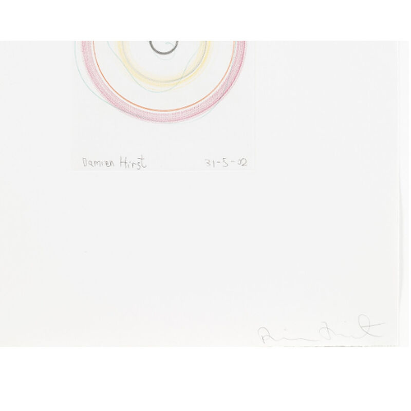 Damien Hirst, ‘You threw a melon at my head (from In a Spin, the Action of the World on Things, Volume I)’, 2002, Print, Etching in colour, Weng Contemporary