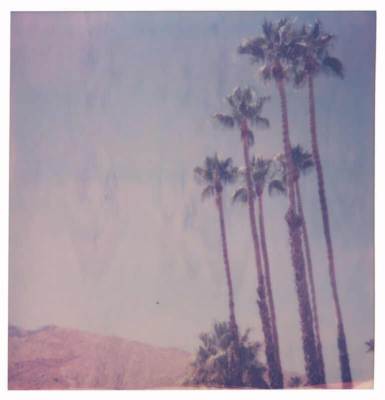 Stefanie Schneider, ‘Palm Springs Palm Trees V’, 2019, Photography, Digital C-Print, based on a Polaroid, Instantdreams