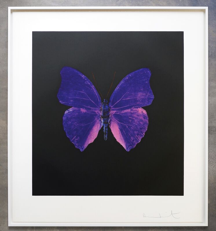 Damien Hirst, ‘The Souls On Jacobs Ladder Take Their Flight’, 2007, Print, Colour photogravure etchings on 400 gsm Velin Arches paper, Joseph Fine Art LONDON