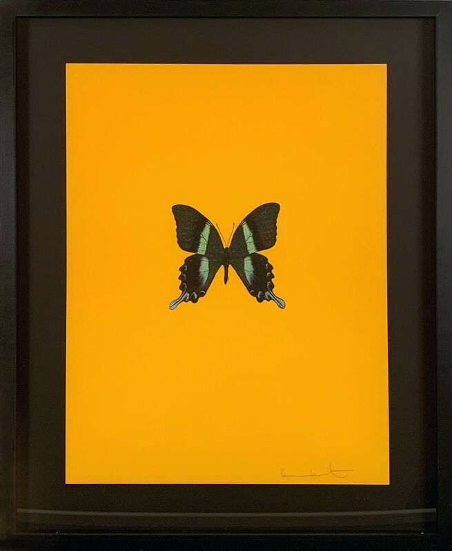 Damien Hirst, ‘Six Butterflies III’, 2011, Print, Polymer-gravure block prints, DTR Modern Galleries