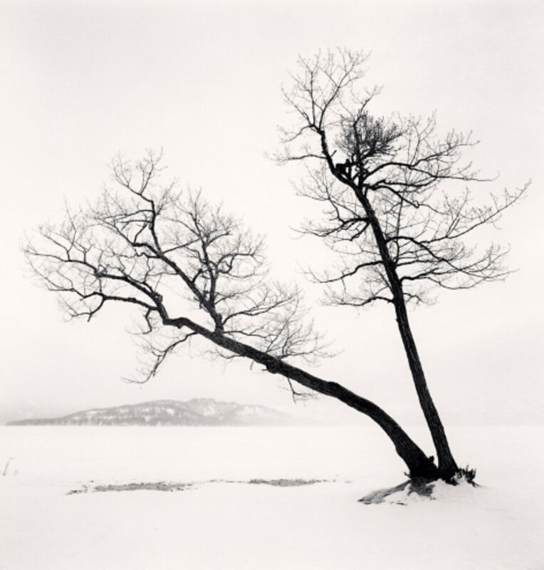 Michael Kenna, ‘Two Leaning Trees, Hussharo Lake, Hokkaido, Japan’, 2013, Photography, Gelatin Silver Print, Weston Gallery