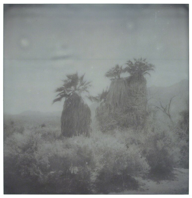 Stefanie Schneider, ‘Oasis’, 2005, Photography, Analog C-Prints, hand-printed by the Artist based on 16 original Polaroids, Instantdreams
