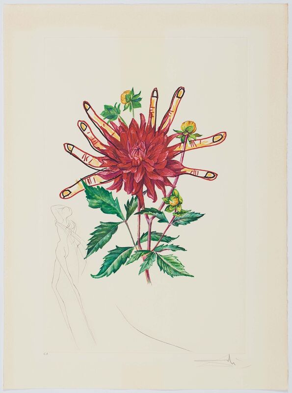 Salvador Dalí, ‘From: Surrealistic Flowers’, Print, Six drypoint etching over coloured farbiger photogravure on ARCHES FRANCE (watermark), Van Ham