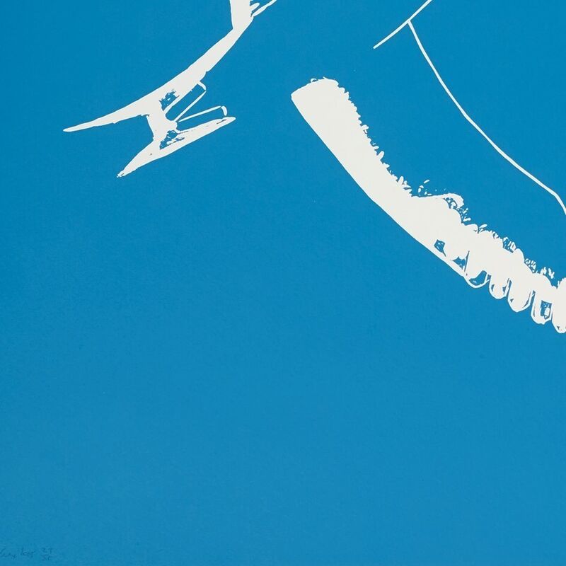 Alex Katz, ‘Seagull’, 2010, Print, Linocut, Weng Contemporary