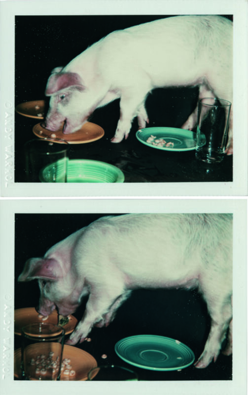 Andy Warhol, ‘Fiesta Pig’, 1979, Photography, Two unique polaroid prints, Christie's Warhol Sale 