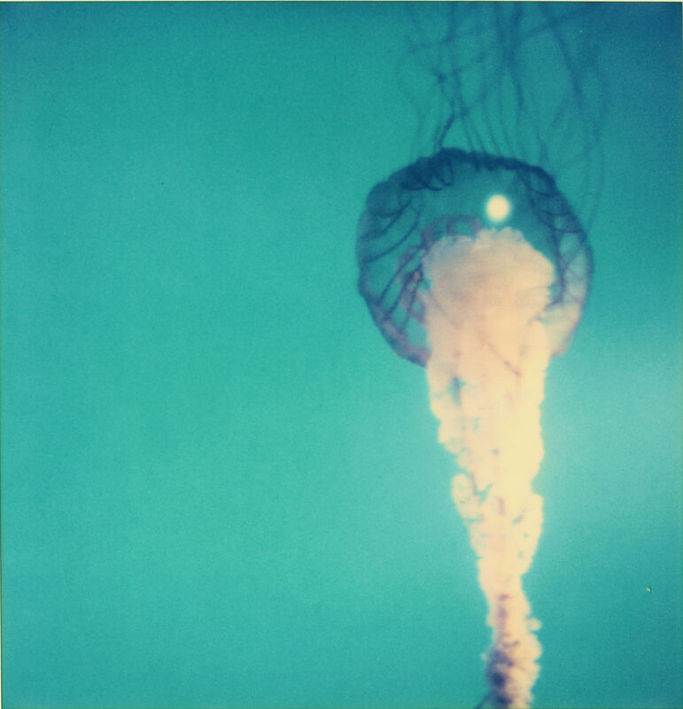 Stefanie Schneider, ‘Jelly Fish (Stay) ’, 2006, Photography, Analog C-Print based on a Polaroid, hand-printed by the artist on Fuji Crystal Archive Paper. Not mounted., Instantdreams
