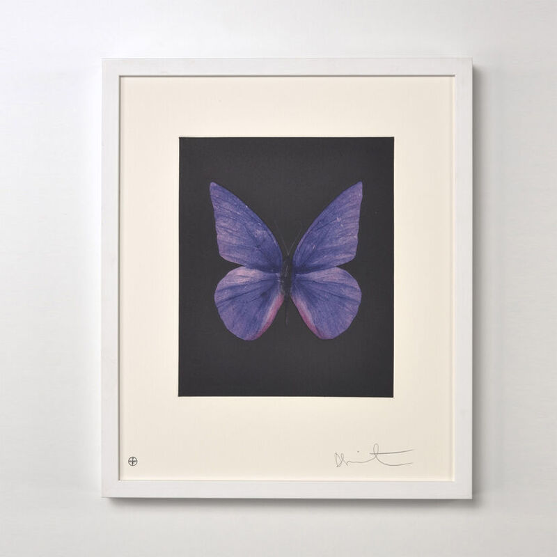 Damien Hirst, ‘Butterfly (Portfolio of 12)’, 2009, Print, Etching, Weng Contemporary