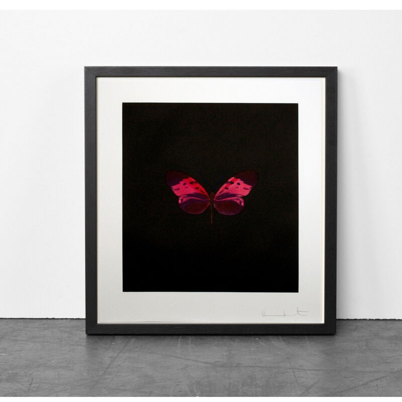Damien Hirst, ‘Pink Butterfly (Memento)’, 2008, Print, Etching, Weng Contemporary