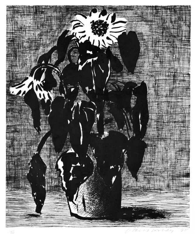 David Hockney, ‘Sunflowers I’, 1995, Print, Etching and aquatint on Arches paper, Oliver Clatworthy Gallery Auction