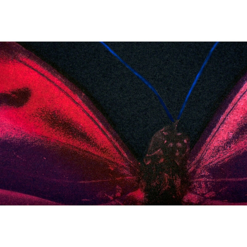 Damien Hirst, ‘Pink Butterfly (Memento)’, 2008, Print, Etching, Weng Contemporary