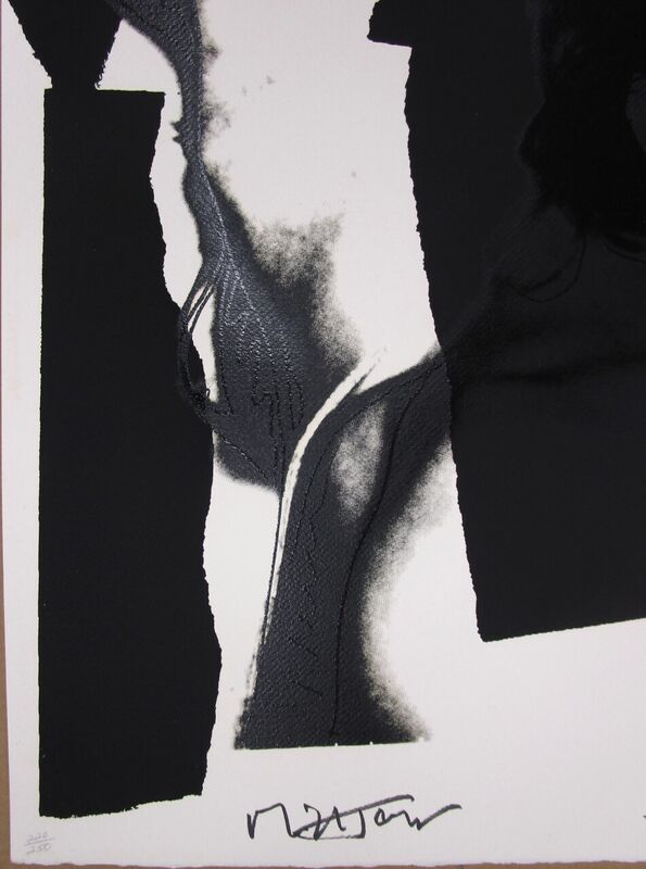 Andy Warhol, ‘Mick Jagger F&S II.144’, 1975 , Print, Screenprint on Arches Aquarelle (Rough) Paper, Fine Art Mia