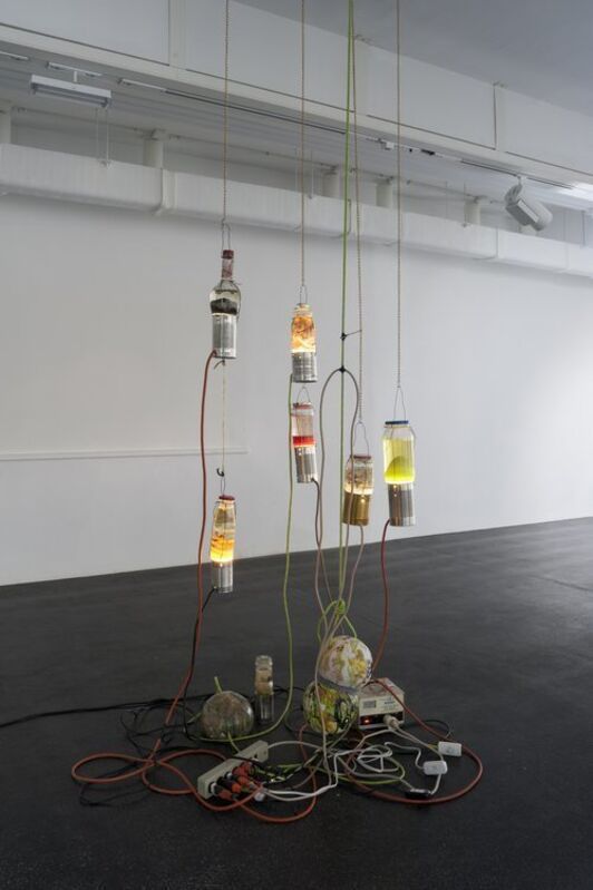 Catharine Czudej, ‘Lamps’, 2014, Installation, Homemade lava lamps, Office Baroque