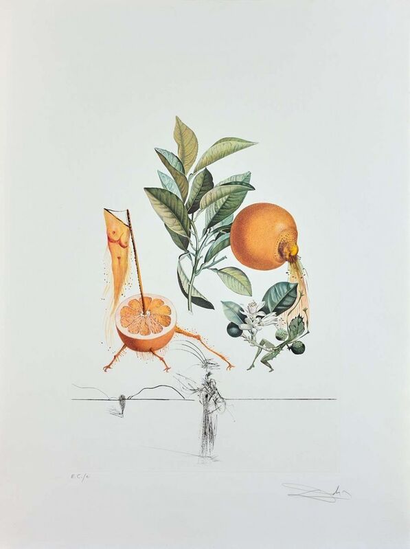 Salvador Dalí, ‘Flordali - Pamplemousse Erotique’, 1969, Print, Original etching on Rives paper, Samhart Gallery