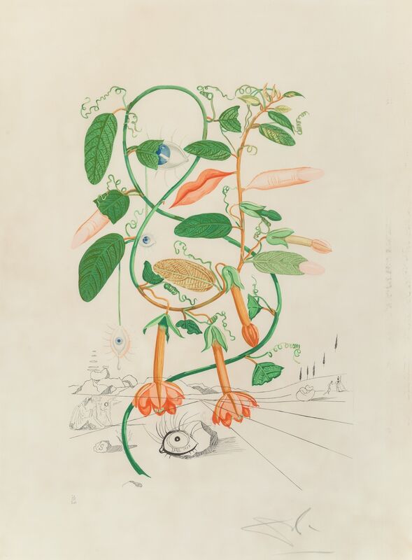 Salvador Dalí, ‘Pisum sensuale, from Flora Dalinae’, 1968, Print, Photolithograph in colors on Rives BFK paper, Heritage Auctions