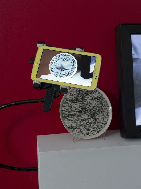 Claudia Hart, ‘Nue Morte’, 2013, Installation, Porcelain dish with augmented reality activated pattern, tablet reader with custom case                         dish diameter: 11" / 28 cm       tablet: 8 x 4.75 x .5" / 20.3 x 12.1 x 1.3 cm                         produced at mOsantimetre, Istanbul with SEEK art, bitforms gallery