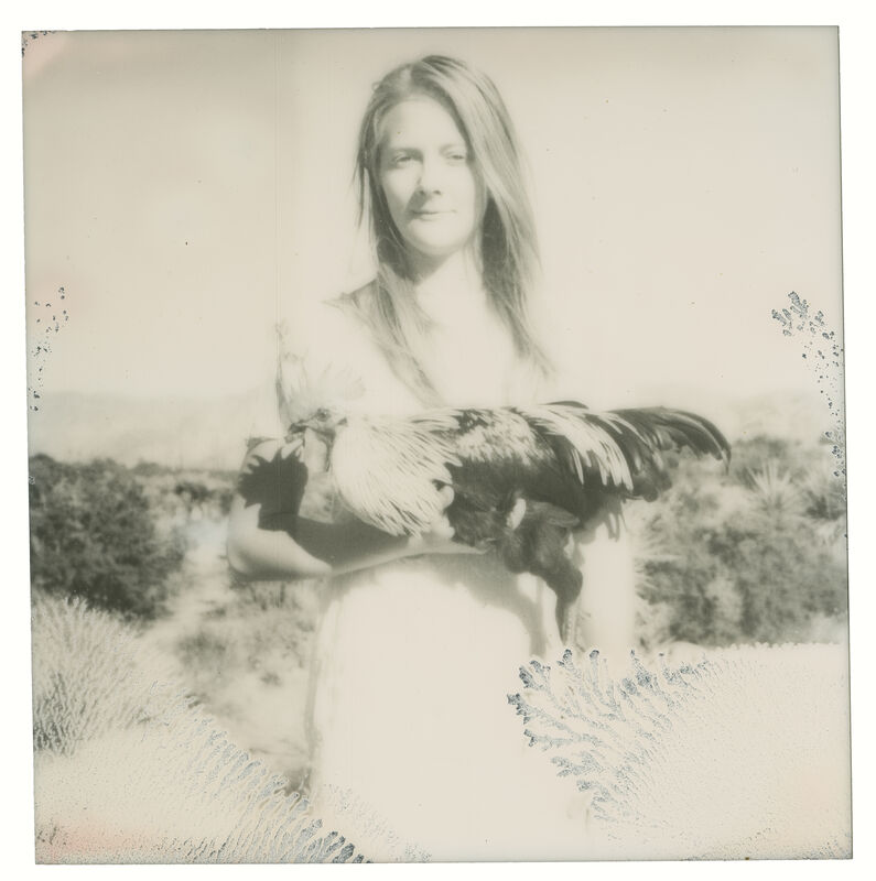 Stefanie Schneider, ‘Balancing (Chicks and Chicks and sometimes Cocks)’, 2018, Photography, Digital C-Print, based on a Polaroid, Instantdreams