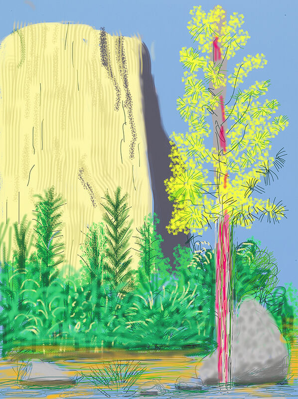 David Hockney, ‘Yosemite No.22’, 2010, Print, IPad Drawing Printed on Paper, Geist