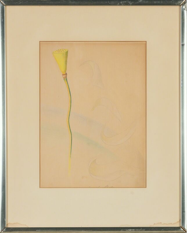 Joseph Stella, ‘Flower’, Drawing, Collage or other Work on Paper, Colored pencil on paper, Doyle