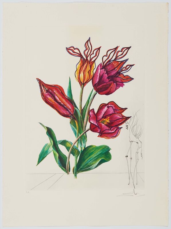 Salvador Dalí, ‘From: Surrealistic Flowers’, Print, Six drypoint etching over coloured farbiger photogravure on ARCHES FRANCE (watermark), Van Ham