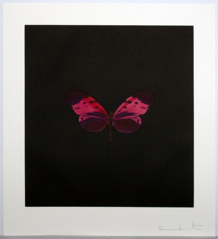 Damien Hirst, ‘Memento (Portfolio of 13)’, 2008, Print, Etching, Weng Contemporary