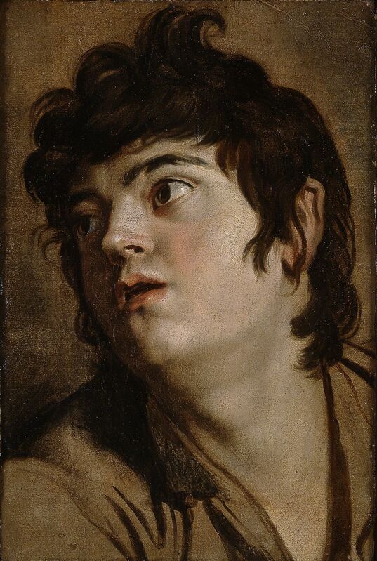 Peter Paul Rubens, ‘Head of a Young Man’, 1601, Painting, Oil on paper, mounted on panel, Blanton Museum of Art