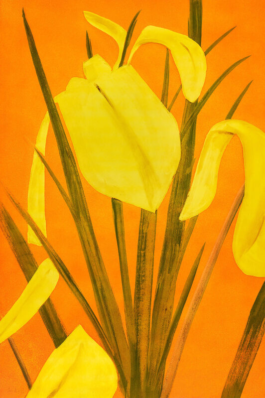 Alex Katz, ‘Yellow Flags 4’, 2020, Print, Photo etching, photo-gravure, and aquatint in five colors on Somerset Satin White 500 gsm fine art paper. Hand signed by the artist, Meyerovich Gallery