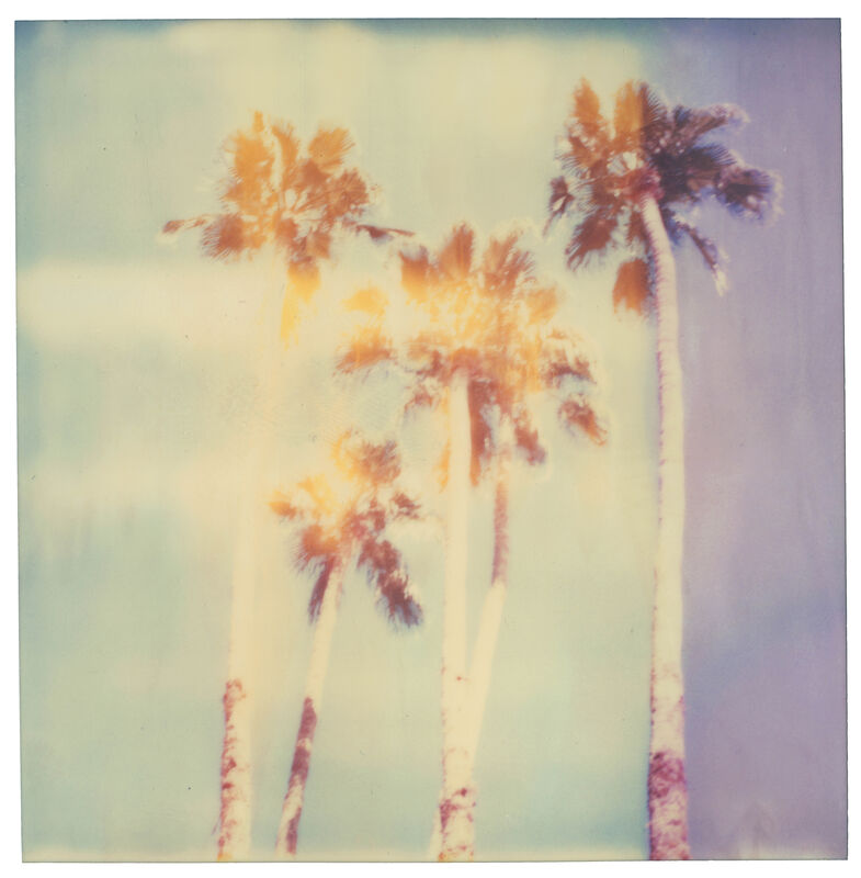 Stefanie Schneider, ‘Palm Springs Palm Trees II (Californication) ’, 2016, Photography, Archival Print based on Polaroid. Not mounted., Instantdreams