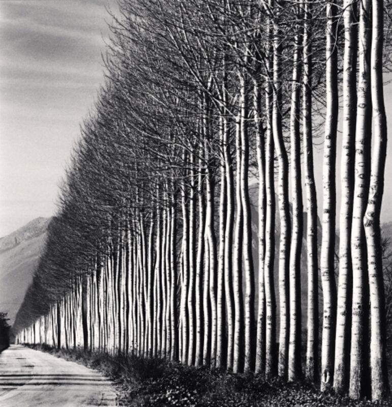 Michael Kenna, ‘Poplar Trees, Fucino, Abruzzo, Italy’, 2016, Photography, Silver Gelatin Print, Weston Gallery
