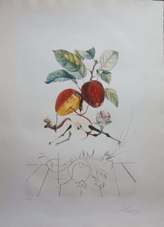 Salvador Dalí, ‘FlorDali/Les Fruits Eve's Apple’, 1969, Print, Etching, Fine Art Acquisitions Dali 