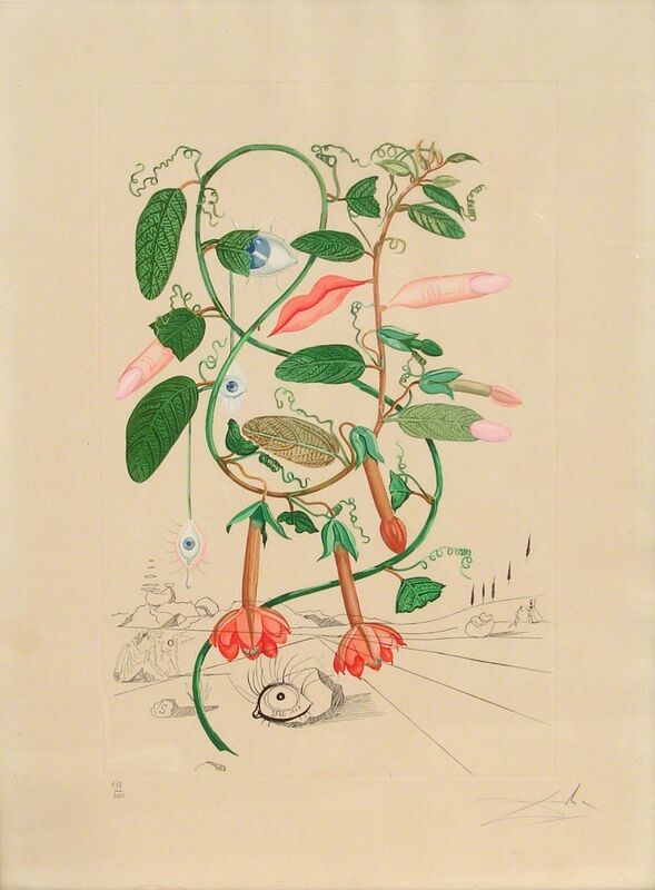 Salvador Dalí, ‘Pisum Sensuale from Flora Dalinae’, 1968, Print, Photolithograph with Original Engraving and Pochoir, RoGallery