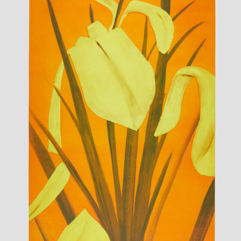 Alex Katz, ‘Yellow Flags 4’, 2020, Print, Photo etching, photo-gravure, and aquatint in five colors on Somerset Satin White 500 gsm fine art paper, Zane Bennett Contemporary Art