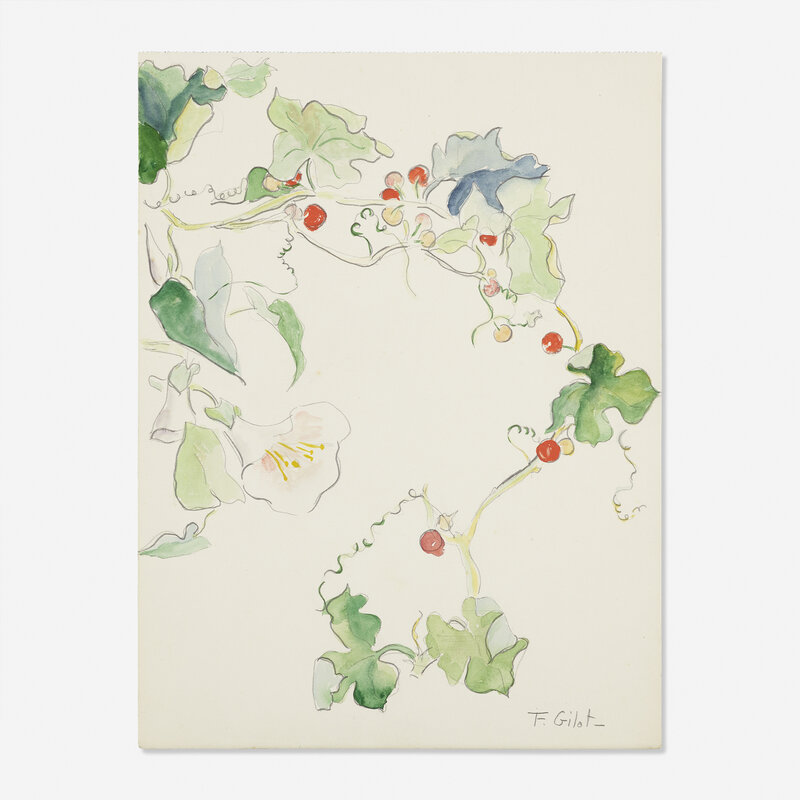 Françoise Gilot, ‘Untitled (flowering vine with berries)’, c. 1940, Drawing, Collage or other Work on Paper, Graphite and watercolor on paper, Rago/Wright/LAMA/Toomey & Co.
