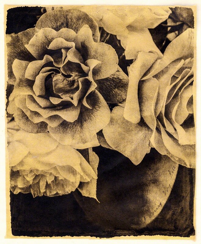 Brigitte Carnochan, ‘I Bring my Rose’, 2018, Photography, Platinum/Palladium on gampi paper, with gold leaf, Themes+Projects